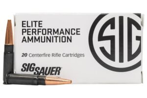 Buy Ammo 300blk 120gr